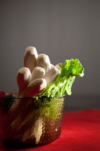 蘑菇香菇金针菇杂菇菌类美食素菜