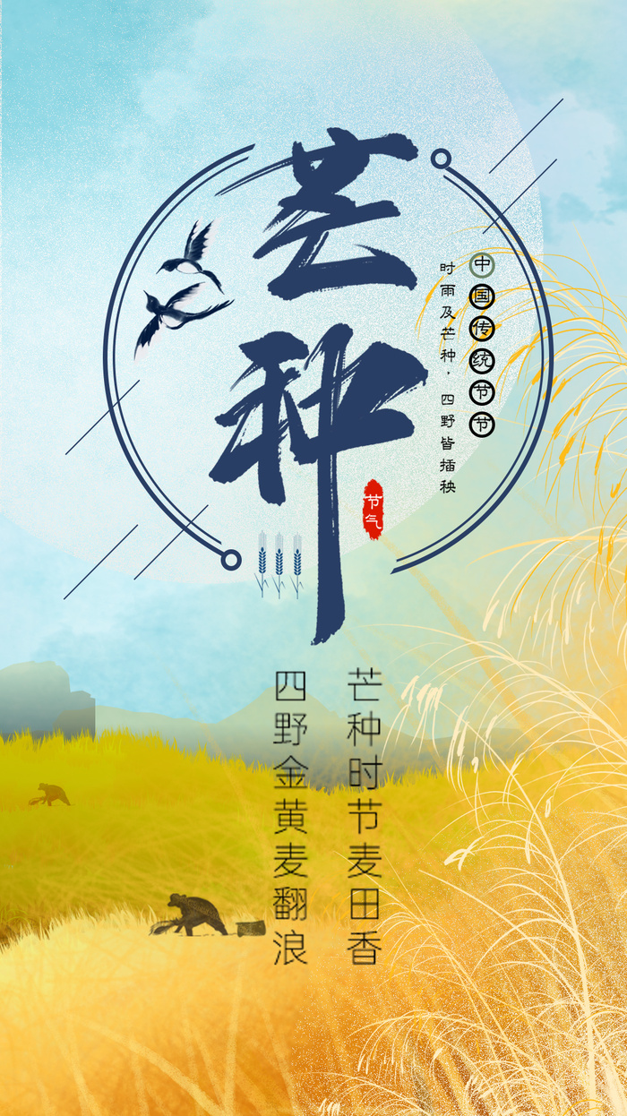 二十四节气芒种手写字麦田收割田地