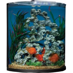 水族馆 PNG免抠