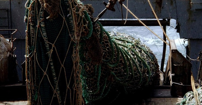 渔船收网准备往返