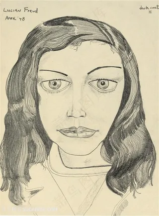 弗洛伊德手绘素描女性艺术插画