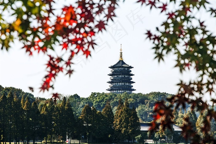 雷峰塔秋色图片