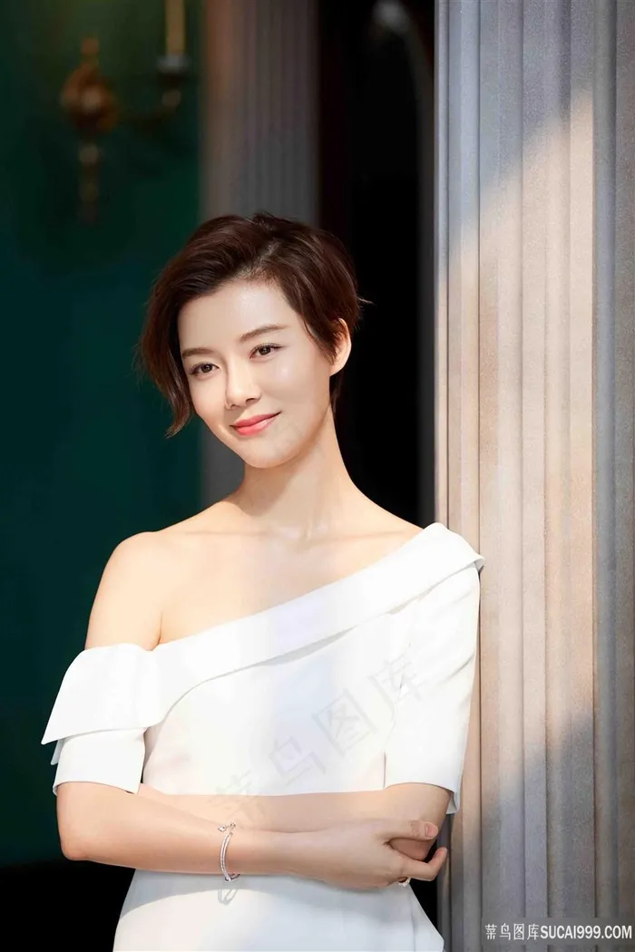 知性气质美女明星车晓性感写真图片