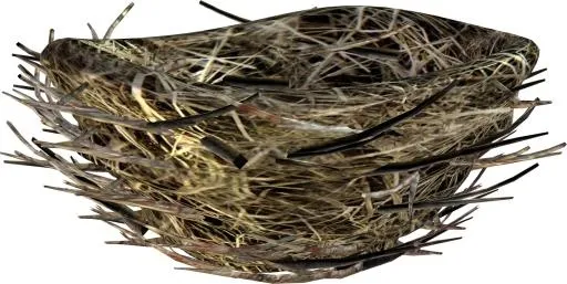 鸟巢 PNG免抠(1917x963)