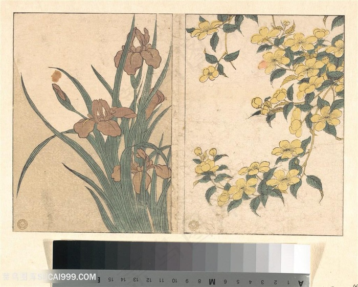 喜多川歌磨作品植物复古花卉花枝装饰画