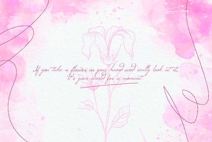 水彩手绘粉色花卉背景