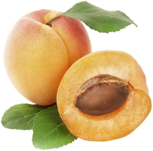 杏子 PNG免抠(600x595)