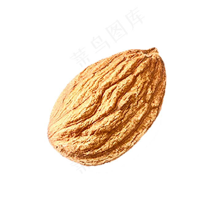 单个扁口核桃