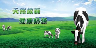 养牛场宣传展板