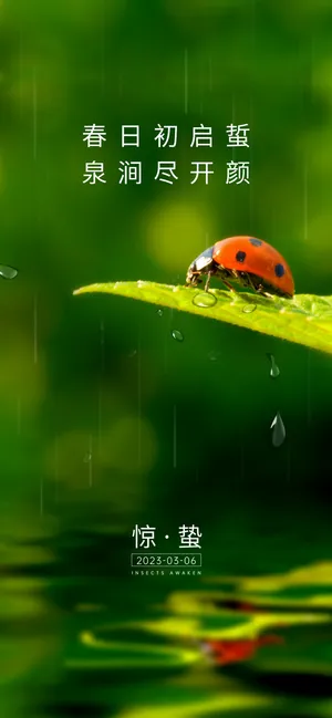 地产惊蛰节气海报