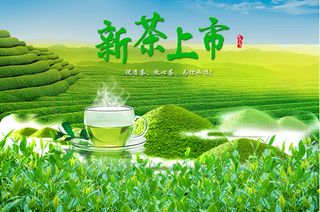 设计茶叶春茶上市素材