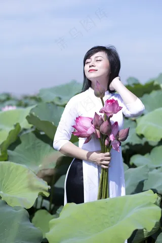 莲花塘写真图片