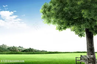 大树草地风景画