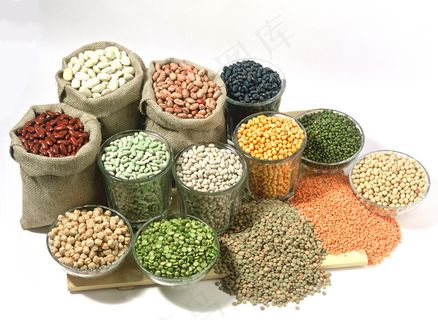 大豆 黄豆 毛豆 豆芽  大豆 黄豆 毛豆 豆芽