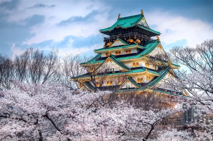 唯美樱花塔楼建筑风景图片