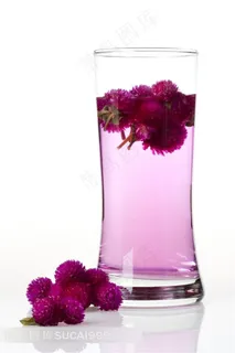 时尚排毒养颜养生保健野菊花泡茶高清摄影图