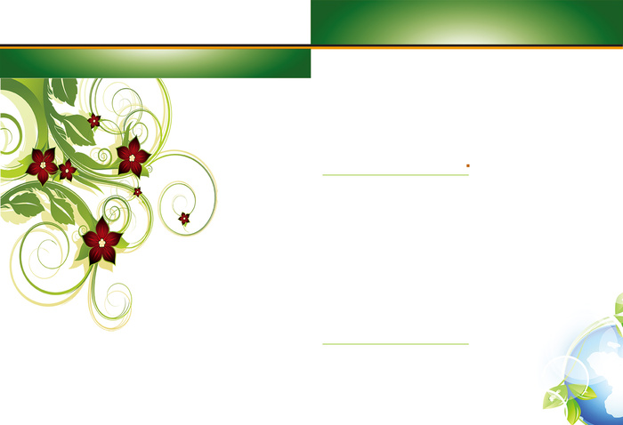 小清新花卉藤蔓画册模板