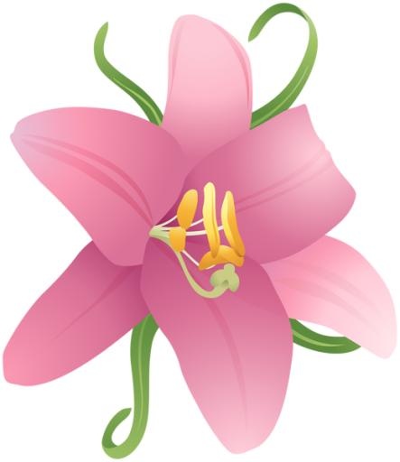 百合花免抠(520x600)