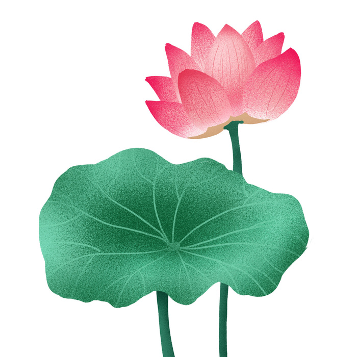 国潮中国风手绘荷花莲花荷叶莲藕植物花卉装饰插画PSD设计素材psd模版下载