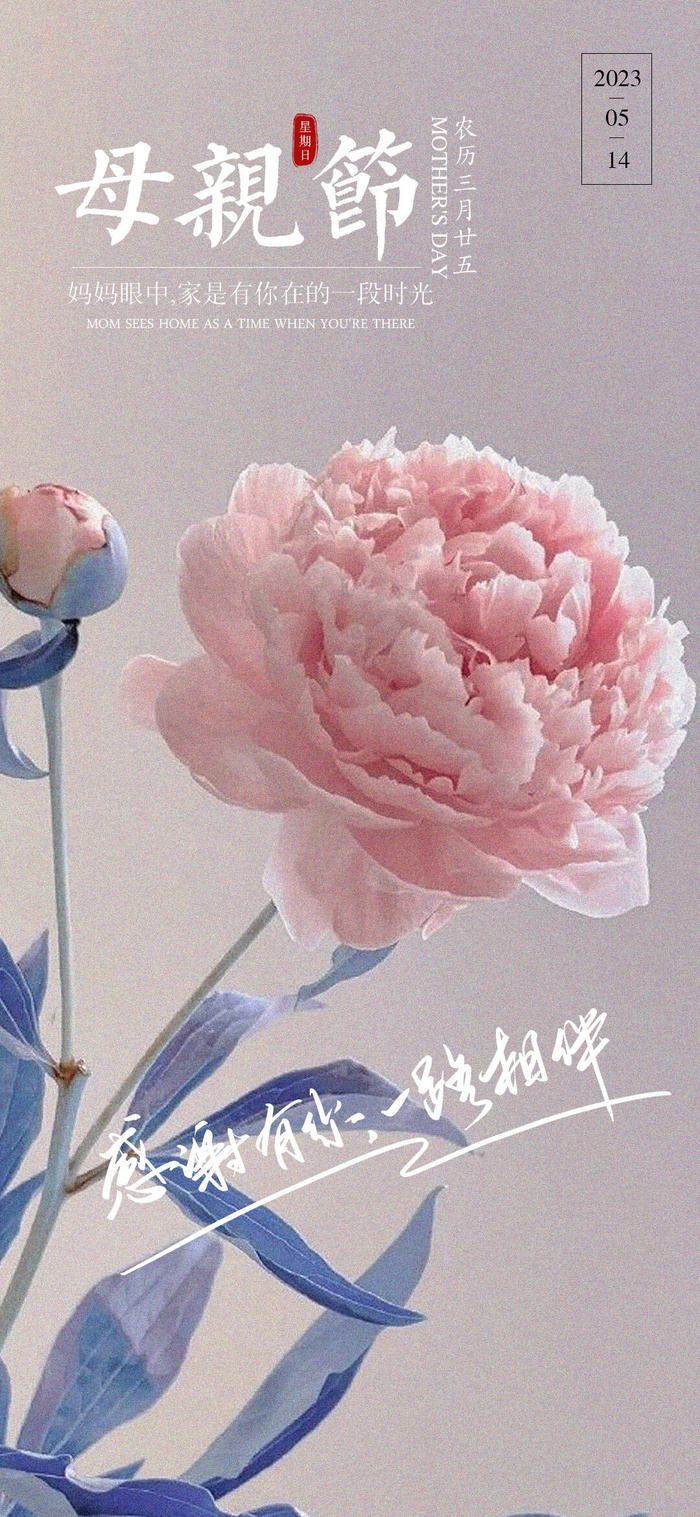 温馨感恩母亲节微信海报