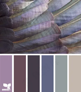 家禽鸟类配色色卡色彩搭配