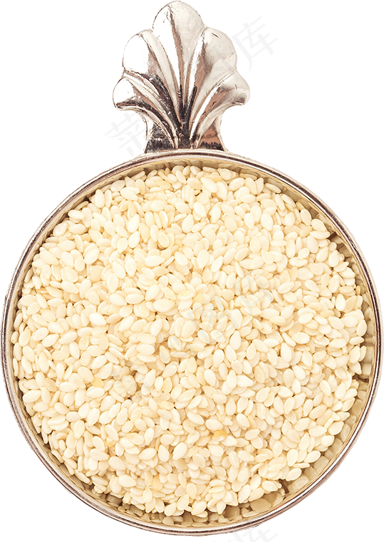 13_Sesame Seeds