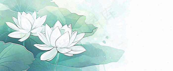 夏天荷花荷叶手绘绿色插画，夏至小暑大暑(1712x704)