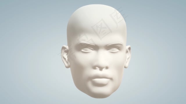 头, , 脸, 模型, 白, 头骨, 人类的身体, 身体