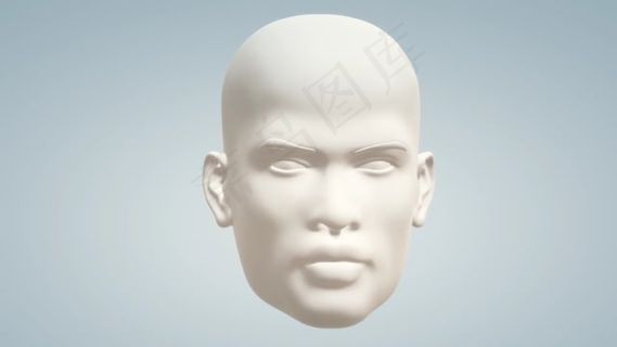 头, , 脸, 模型, 白, 头骨, 人类的身体, 身体