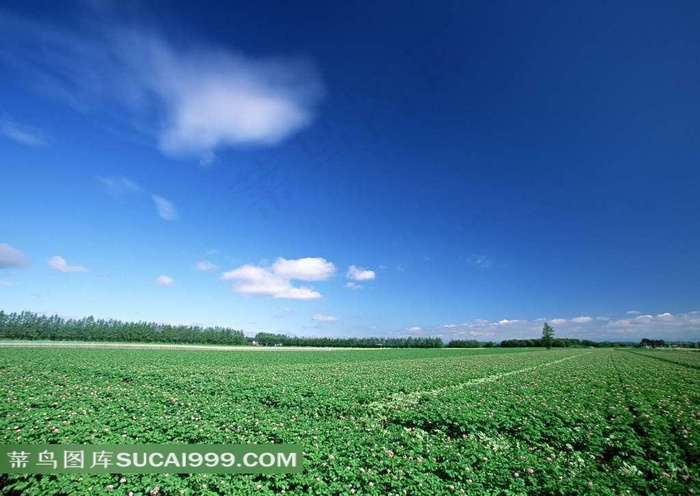 陆地旷野几朵云彩