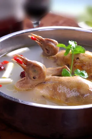 煲类火锅川菜特色菜天麻乳鸽煲 