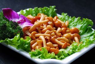 蘑菇香菇金针菇杂菇菌类美食素菜