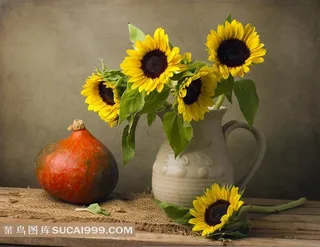 花瓶向日葵图片下载