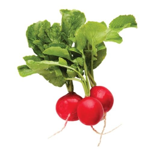 萝卜 PNG免抠(600x600)