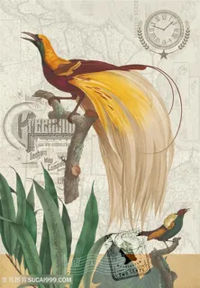 天堂鸟孔雀装饰画 天堂鸟孔雀装饰画