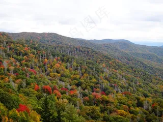 唯美林海风景摄影图片