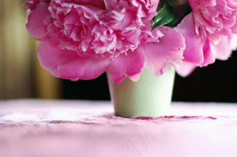 粉色花卉非主流图片