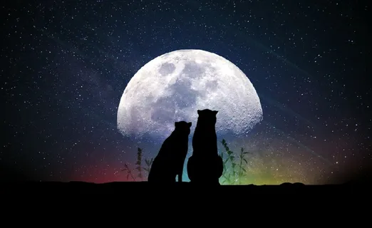 元宇宙世界天空风景背景墙