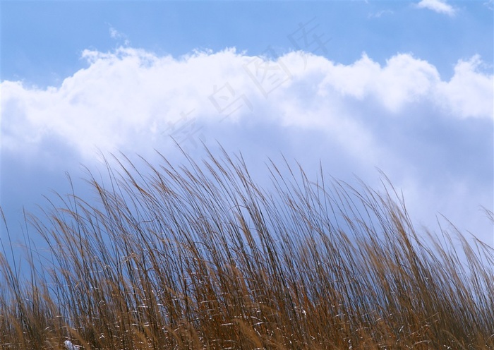 晴空万里概念图片素材