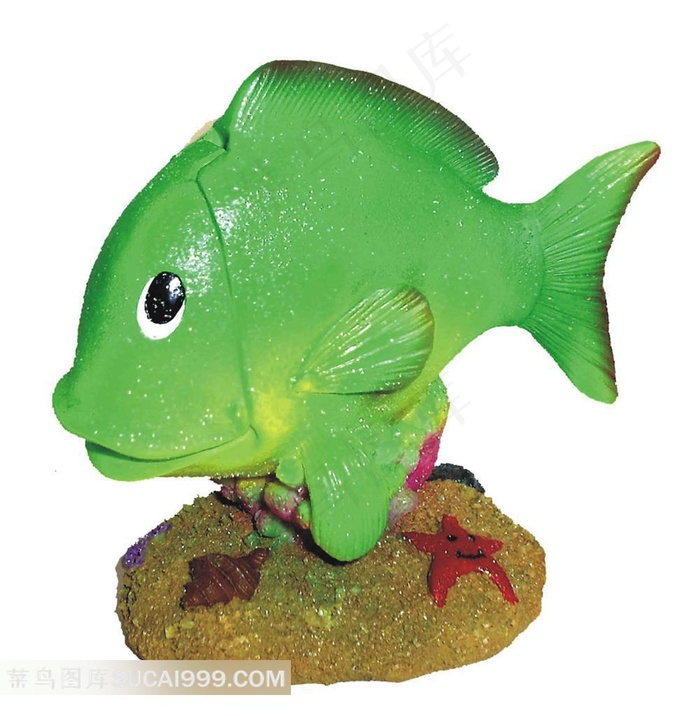 珊瑚上的小绿鱼