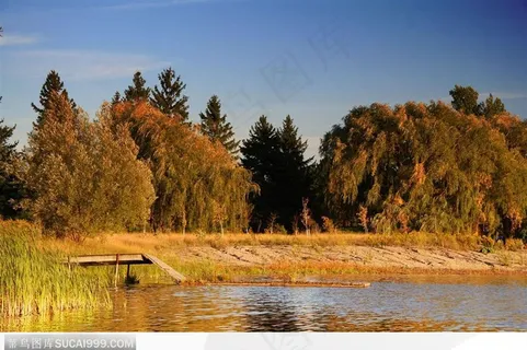 湖边树木风景