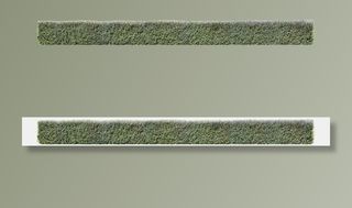 高清树木素材 免抠PSD植物素材 美术绘画园林贴图 树草灌木花草