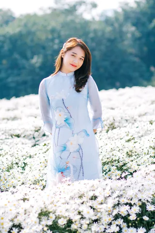 高清性感气质美女