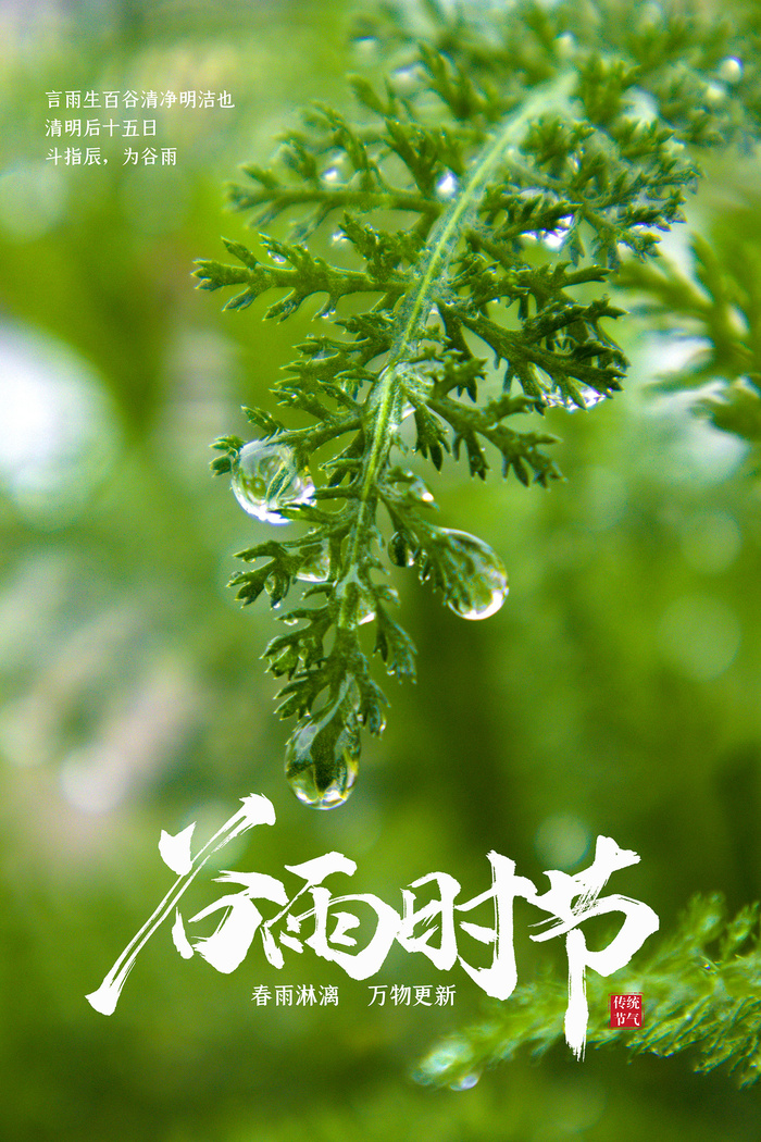 谷雨节气节日宣传海报psd模版下载