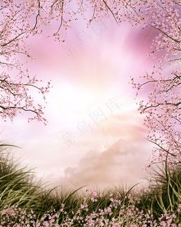 卡通梦幻童话樱花背景素材