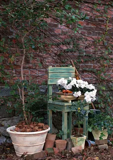 花园一角十八 花园一角十八