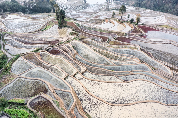 元阳胜村梯田