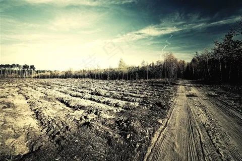 美丽的乡村风景 美丽的乡村风景