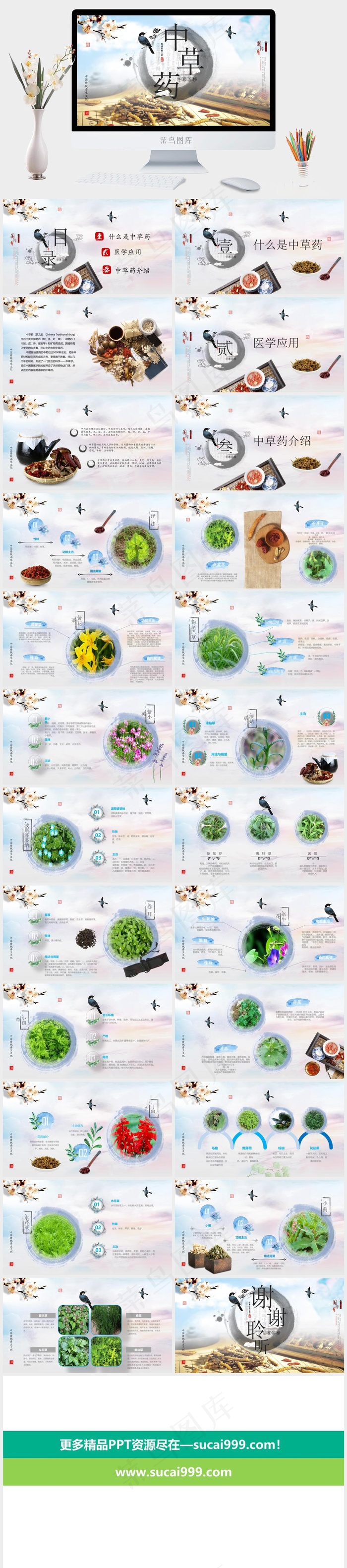 中药中医治病PPT模板ppt模版