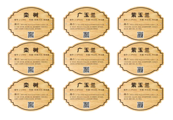 大学城树牌cdr矢量模版下载